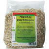 HealthTrade Bio Νιφάδες Φαγόπυρου 500gr