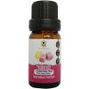 Herbstore Έλαιο Τροφίμων με Άρωμα Τσιχλόφουσκα 10ml