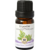 Herbstore Αιθέριο Έλαιο Σιτρονέλα 10ml