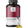 Healthy World Berberine HCL 500mg 180 κάψουλες