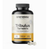 OneEnergy Τριβόλι 2250mg 240 Κάψουλες